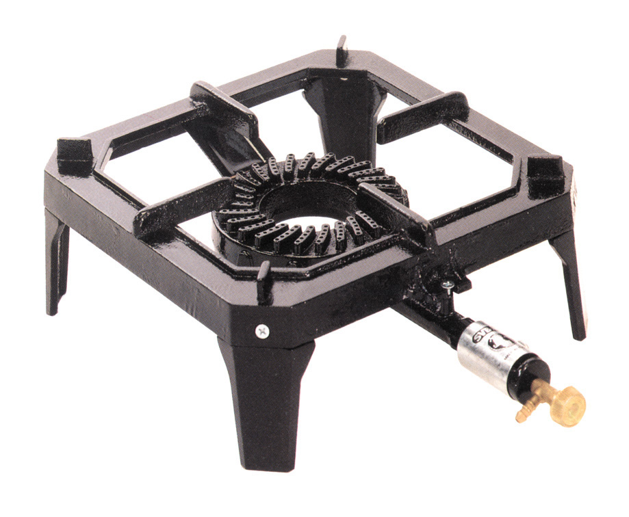 ���� ������ ������