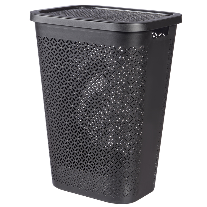 �� ����� 55 ���� ���� ���- ����