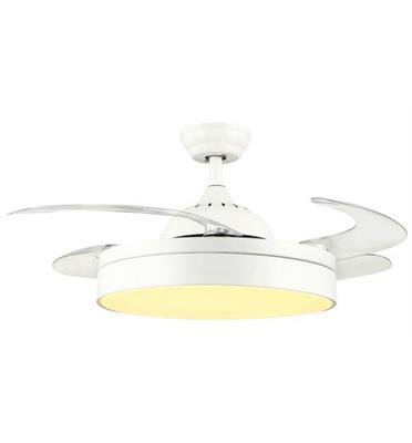   "36W ANGEL 42  -