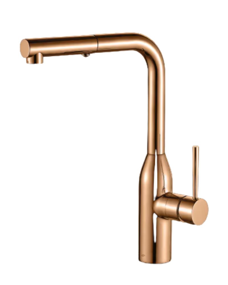 ��� ���� ���� ������� ��� ����