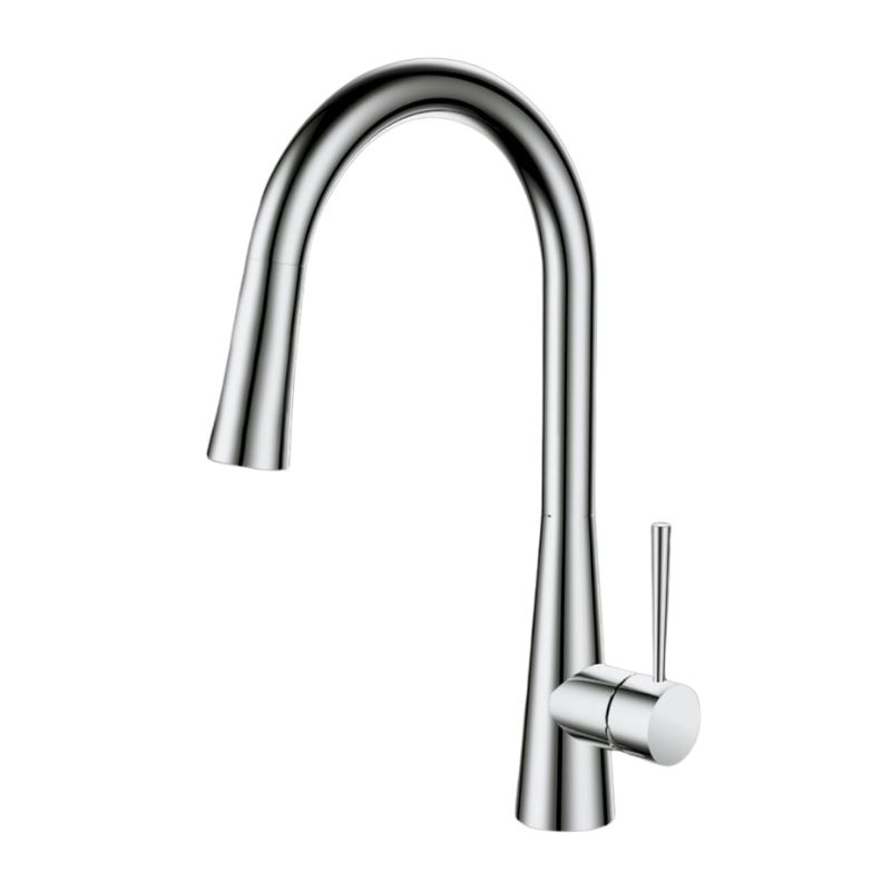 ��� ���� ���� "����" ����