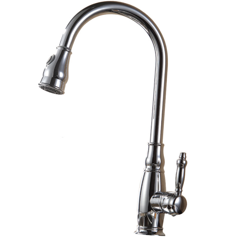 ��� ���� ����� ���� ���� Dolphin